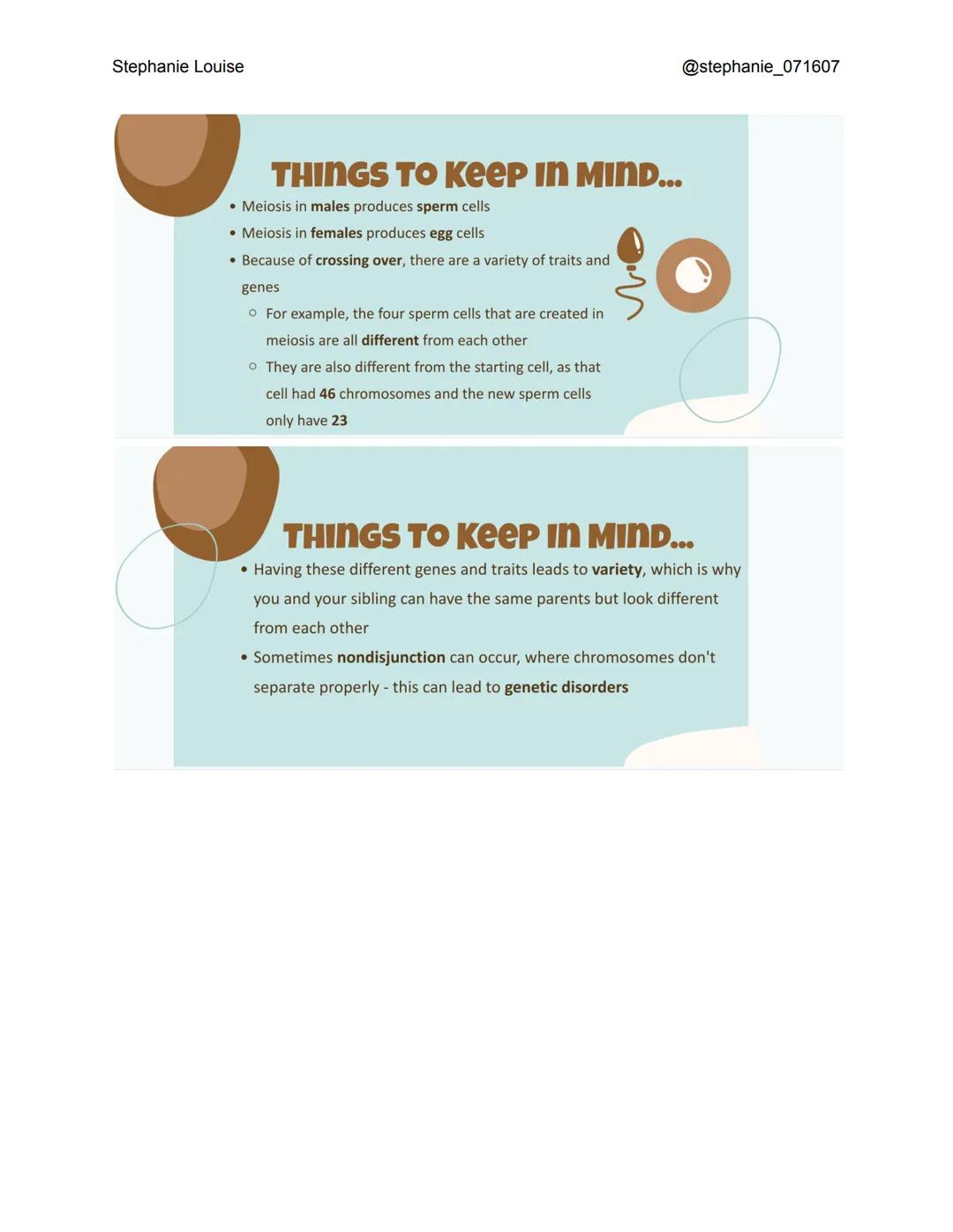 Stephanie Louise
INTRODUCTION TO
Meiosis
THE LIVING EARTH
XXXX
XX
XX
INTERPHASE
• Like in mitosis, interphase occurs before meiosis even sta