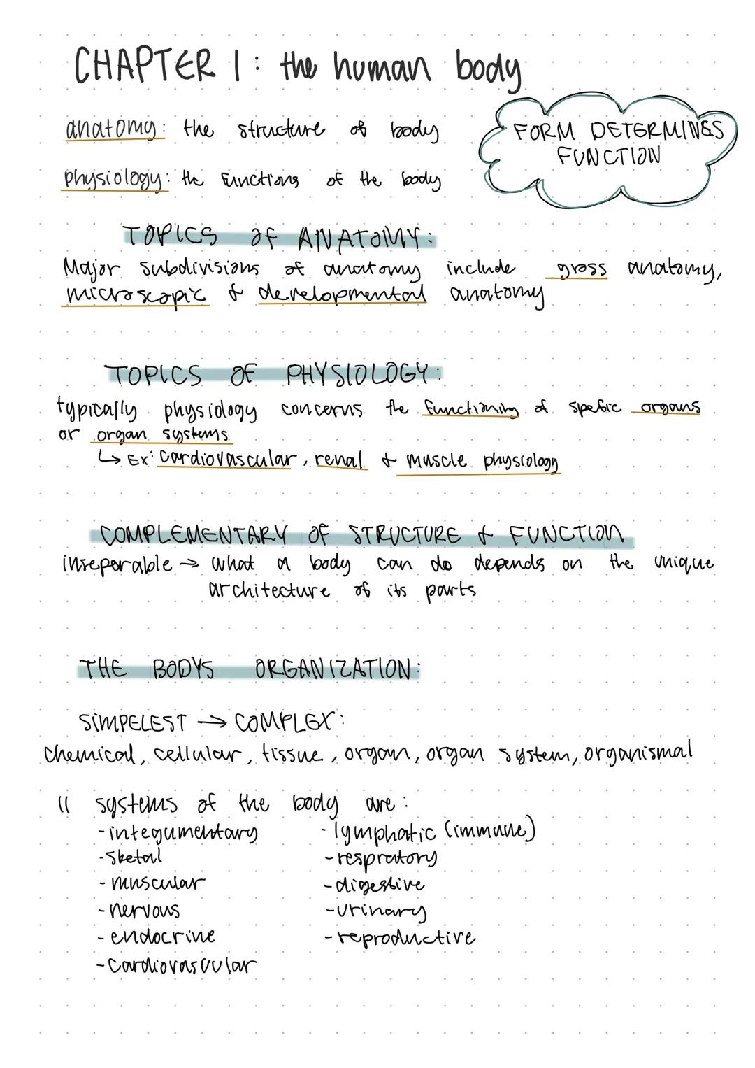 Discovering Your Amazing Body: Anatomy and Physiology Basics