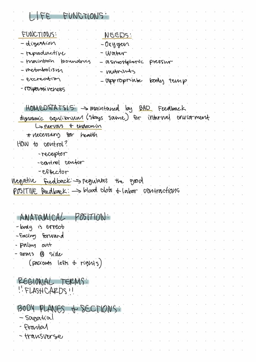 CHAPTER 1: the human body.
anatomy: the structure of body
Physiology: the functions
of the body
TOPICS OF ANATOMY:
of
include
Major Subdivis