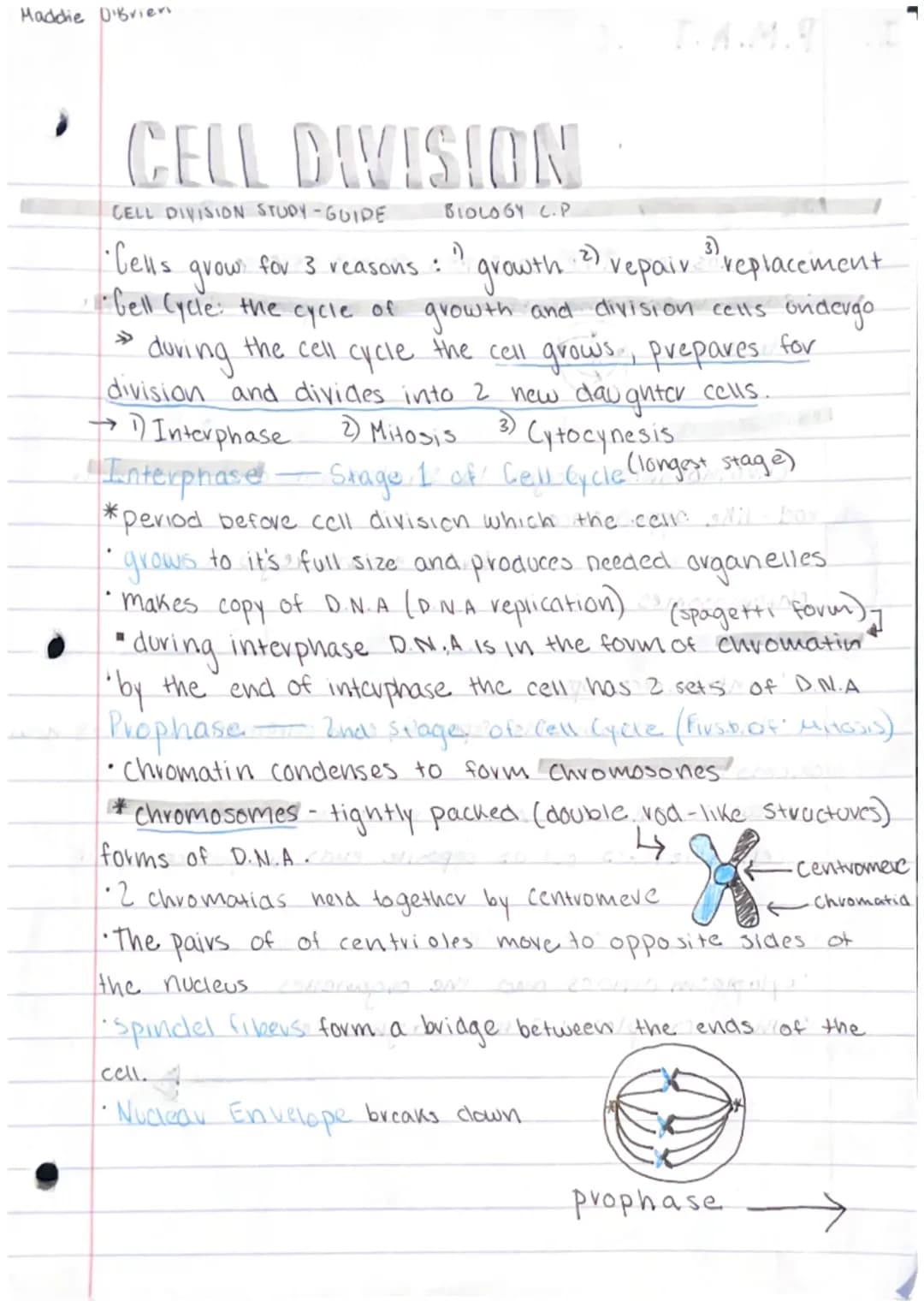 
<h3 id="introductiontocelldivision">Introduction to Cell Division</h3>
<p>In Biology C.P, we learn about the concept of cell division and i