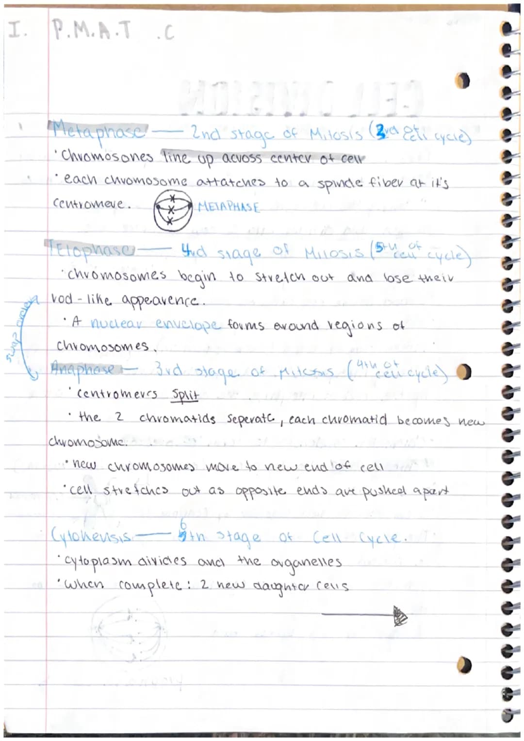 
<h3 id="introductiontocelldivision">Introduction to Cell Division</h3>
<p>In Biology C.P, we learn about the concept of cell division and i