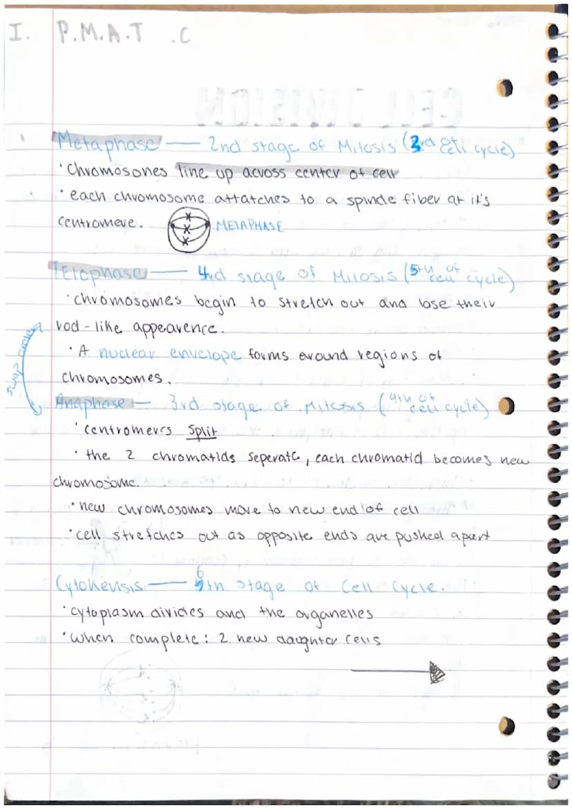 
<h3 id="introductiontocelldivision">Introduction to Cell Division</h3>
<p>In Biology C.P, we learn about the concept of cell division and i