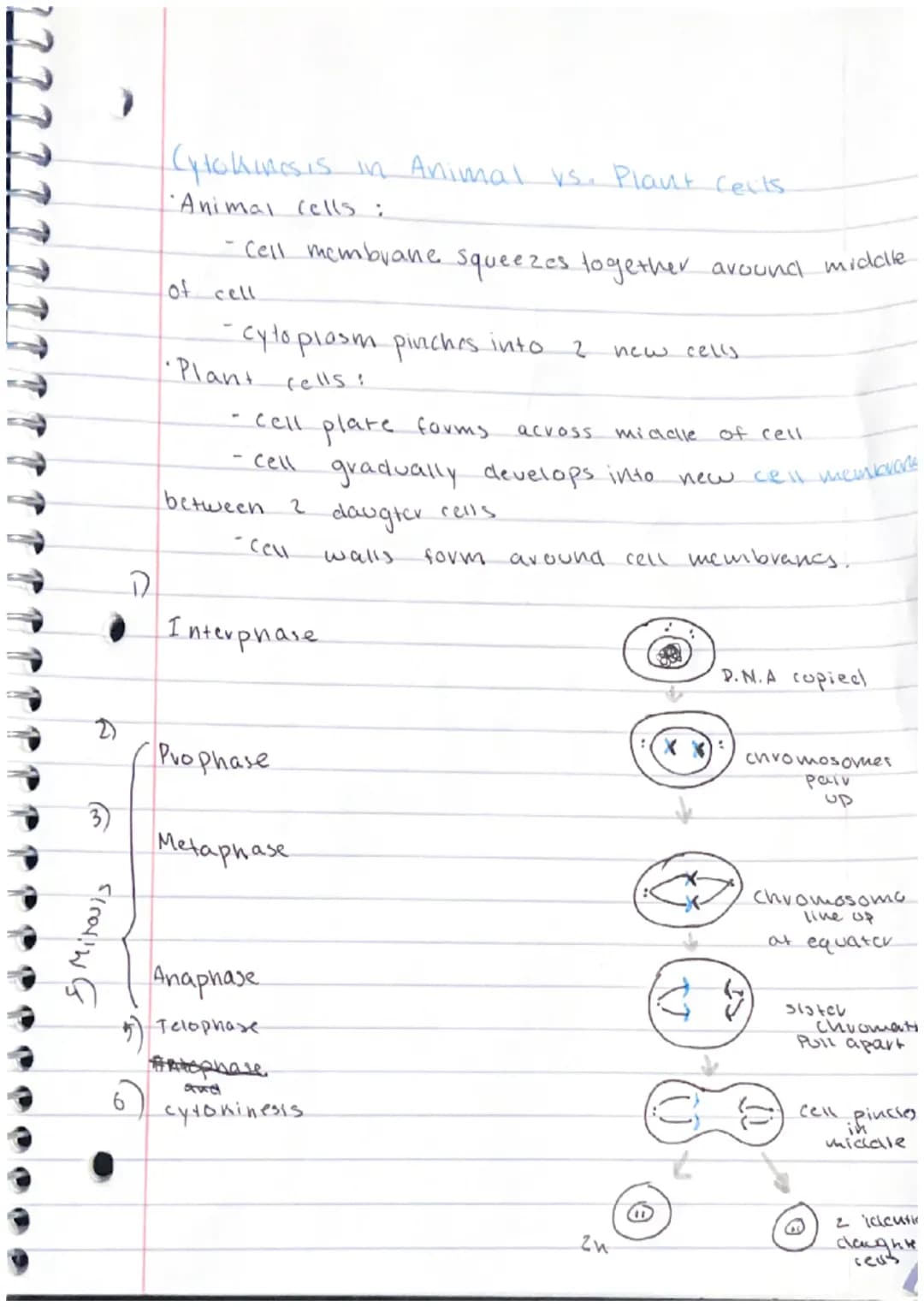 
<h3 id="introductiontocelldivision">Introduction to Cell Division</h3>
<p>In Biology C.P, we learn about the concept of cell division and i