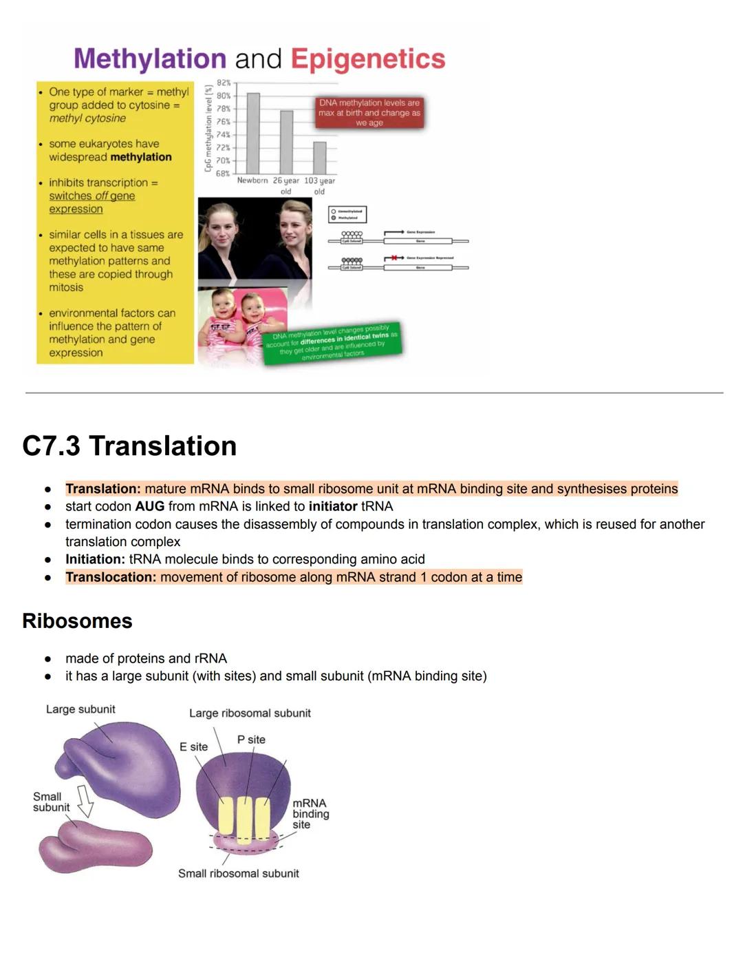 C7.1 DNA Structure and Replication
Nucleosome
● Nucleosome: octamer with DNA and 1 histone
eukaryotic DNA is associated with histones
'naked