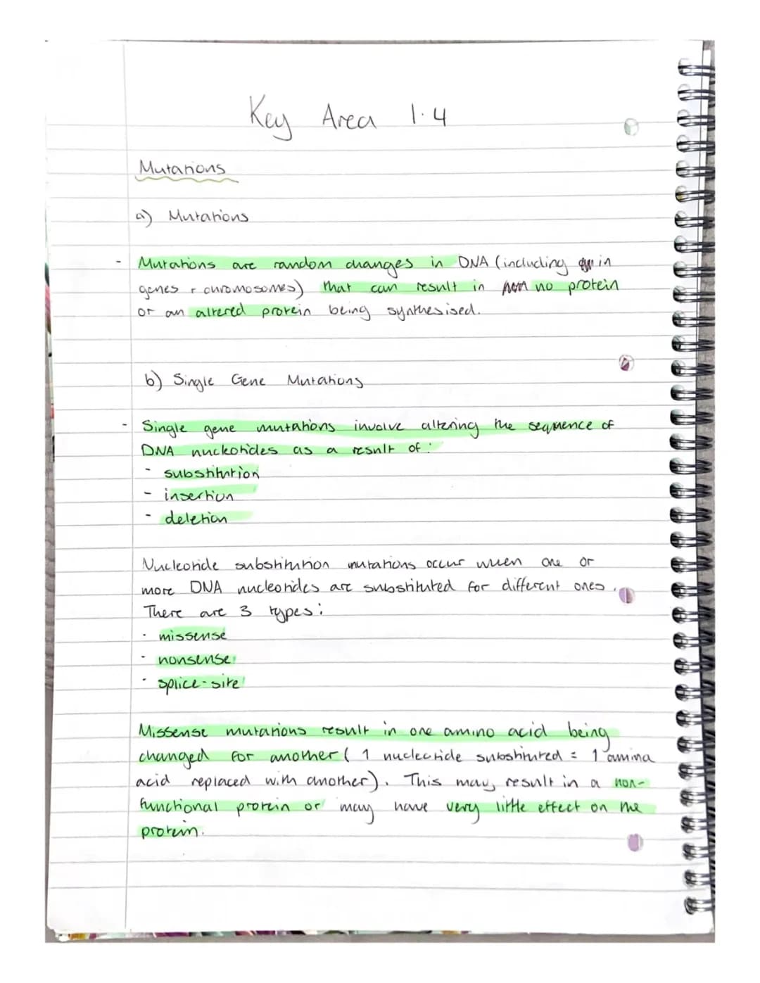 Higher Human Biology Mutations Notes - Gene and Chromosomal Mutations PDF