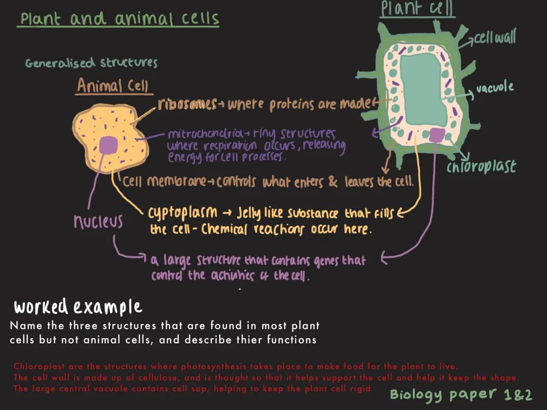 BIOLOGY PAPER1 revision