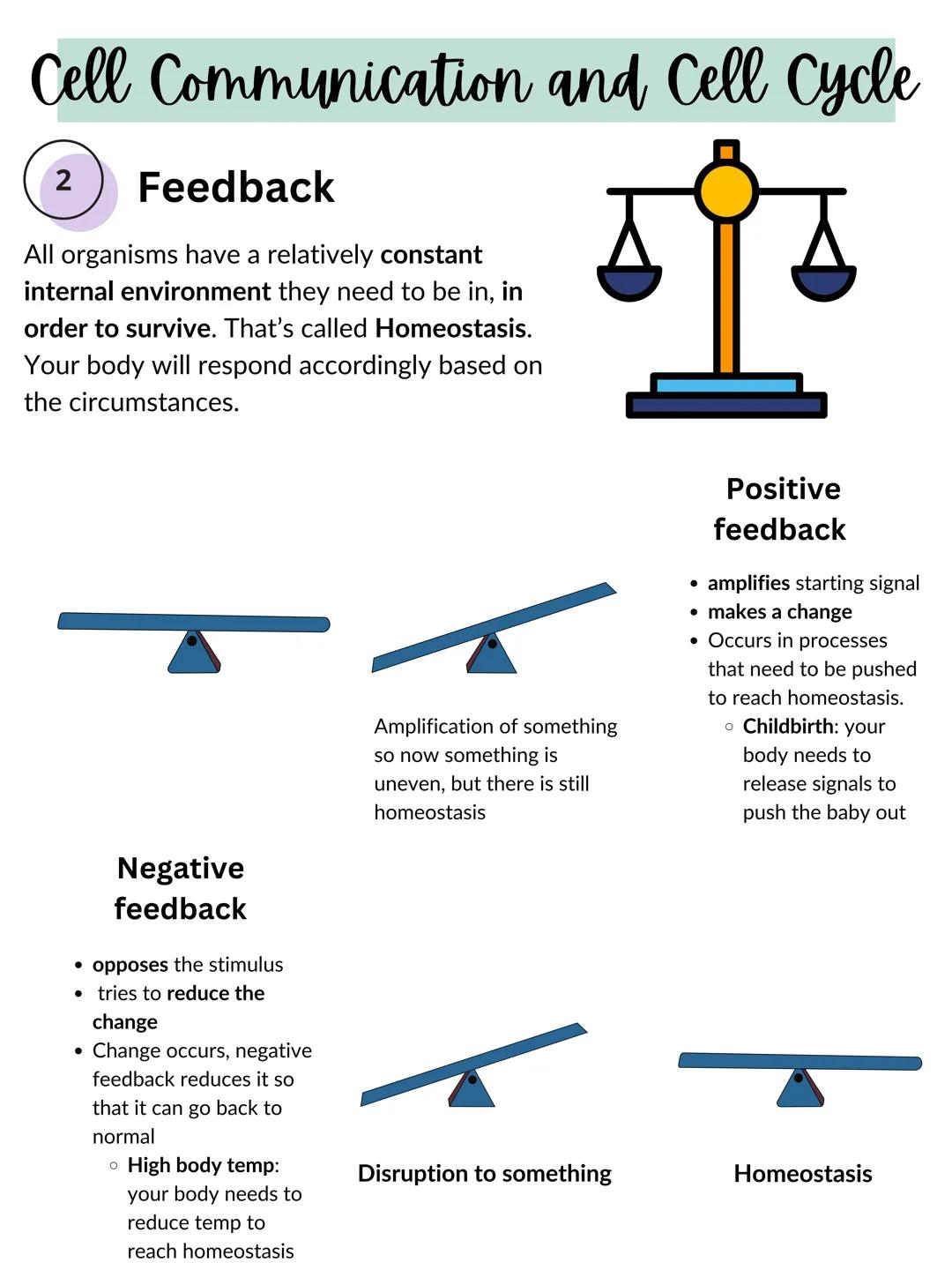 Cell Communication and Cell Cycle
1
Signal transduction
Cell communicate through cell-cell contact
and through cell signaling.
⚫ it's done t