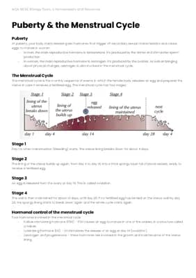 Know GCSE AQA Biology Puberty & The Menstrual Cycle thumbnail