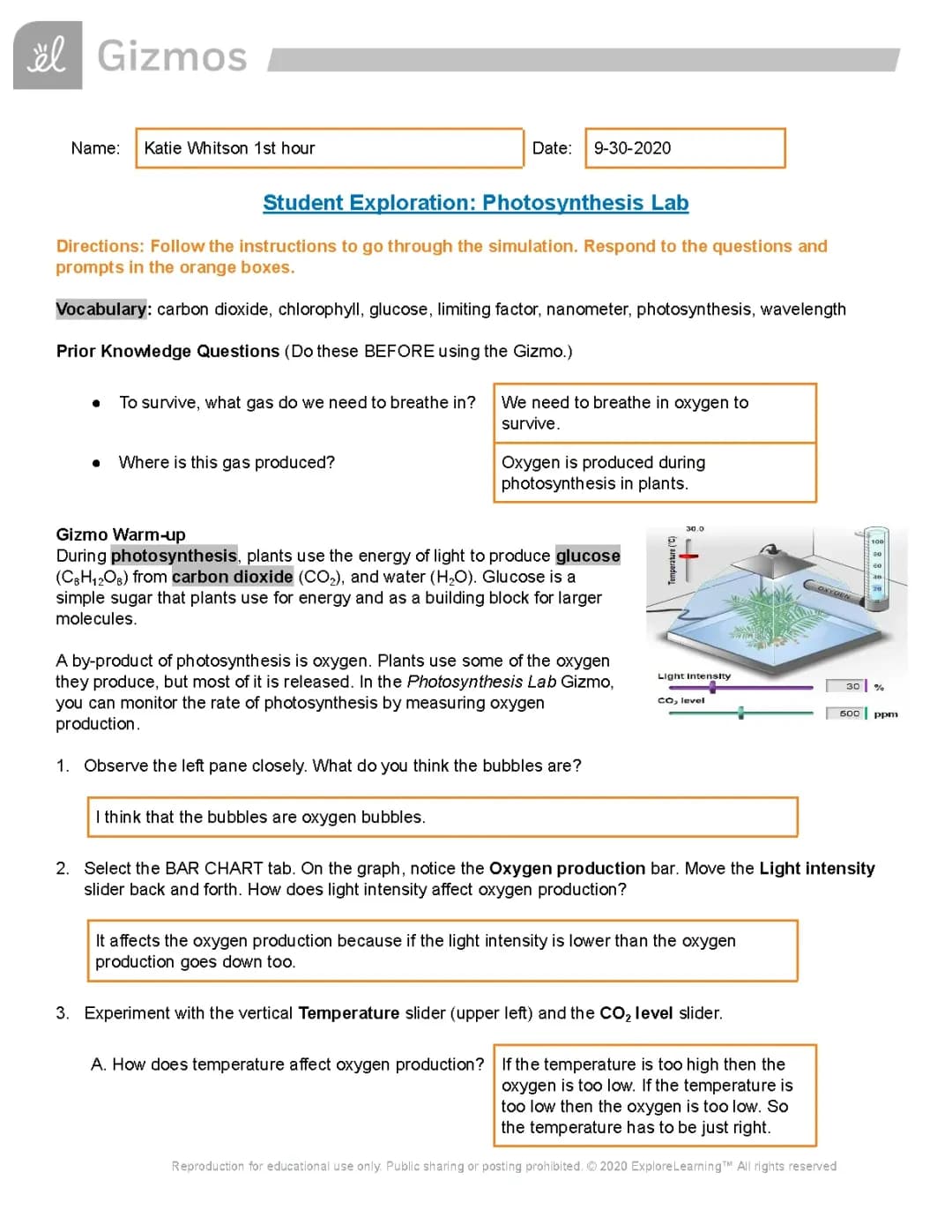 Explore Photosynthesis with a Fun Lab Simulation