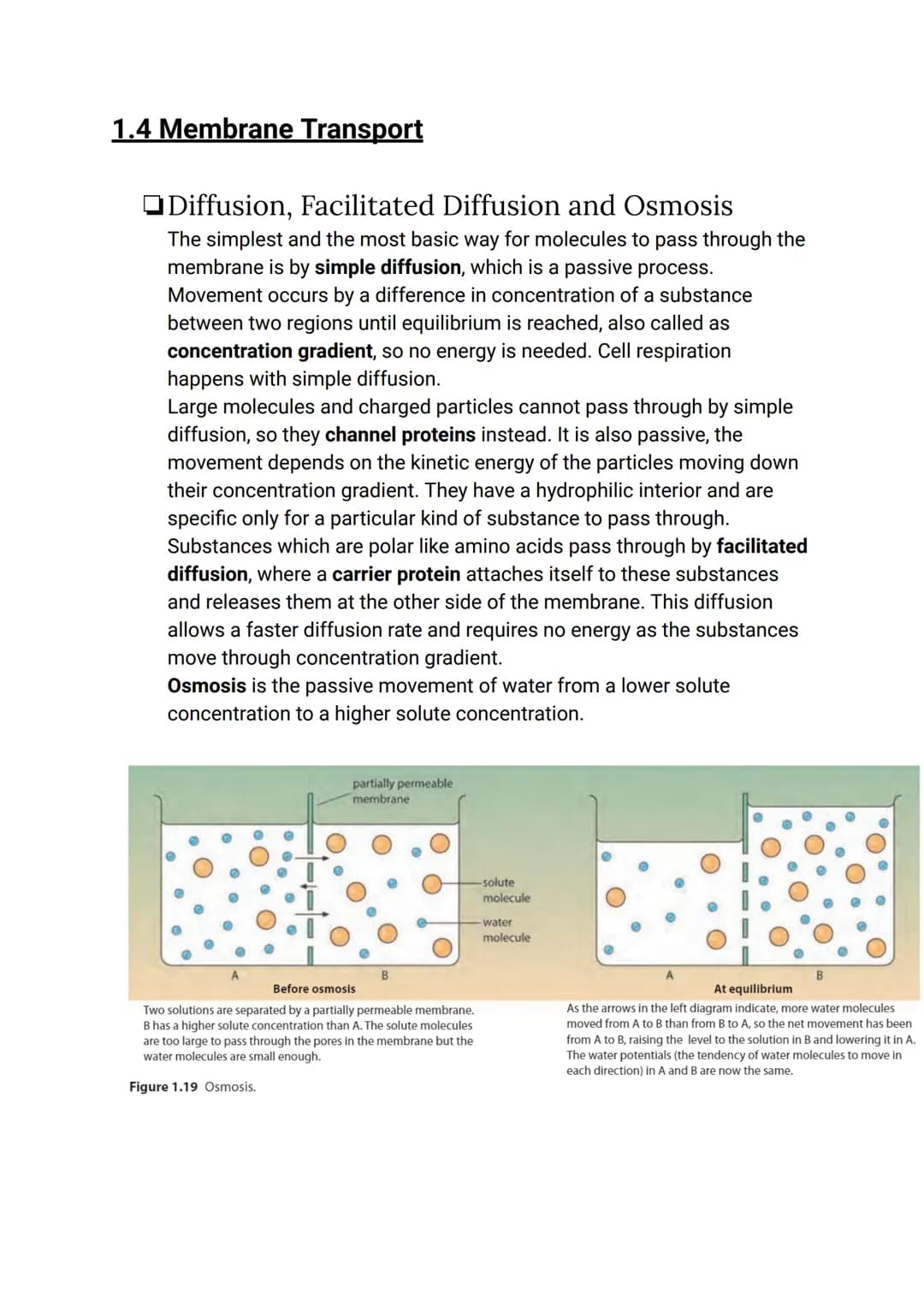 CELL BIOLOGY 1 (SUMMARY)
1.1 Introduction to cells
The Cell Theory
The cell theory has three main principles: the cell is the smallest unit 