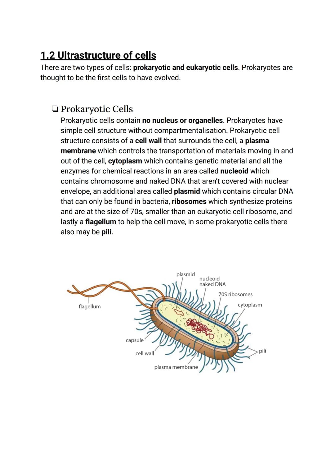 CELL BIOLOGY 1 (SUMMARY)
1.1 Introduction to cells
The Cell Theory
The cell theory has three main principles: the cell is the smallest unit 