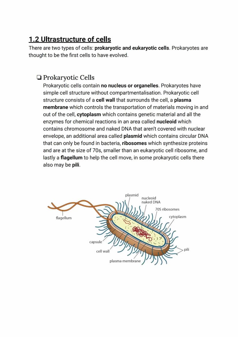 CELL BIOLOGY 1 (SUMMARY)
1.1 Introduction to cells
The Cell Theory
The cell theory has three main principles: the cell is the smallest unit 