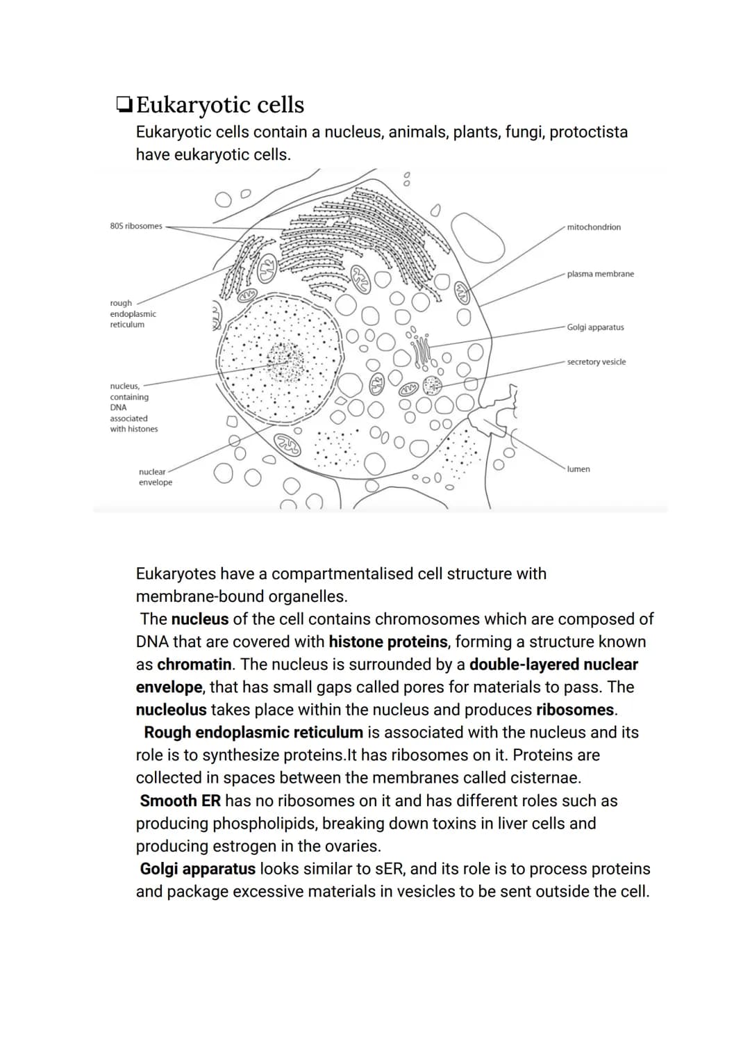 CELL BIOLOGY 1 (SUMMARY)
1.1 Introduction to cells
The Cell Theory
The cell theory has three main principles: the cell is the smallest unit 