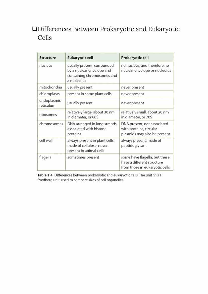 CELL BIOLOGY 1 (SUMMARY)
1.1 Introduction to cells
The Cell Theory
The cell theory has three main principles: the cell is the smallest unit 