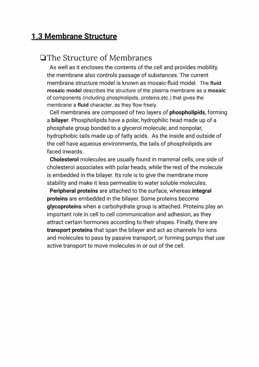 CELL BIOLOGY 1 (SUMMARY)
1.1 Introduction to cells
The Cell Theory
The cell theory has three main principles: the cell is the smallest unit 