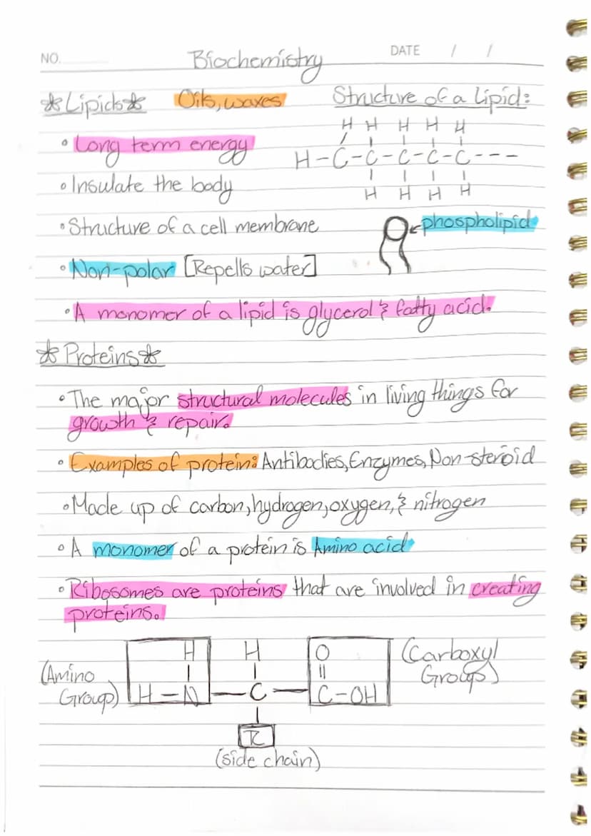 NO. Unit l
Characteristics of life:
Homeostasis to maintain internal conditions.
Example: Body temperature, Ph. balance
* Organization - the