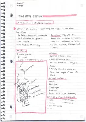 Know Digestive system basics and digestive systems issues thumbnail