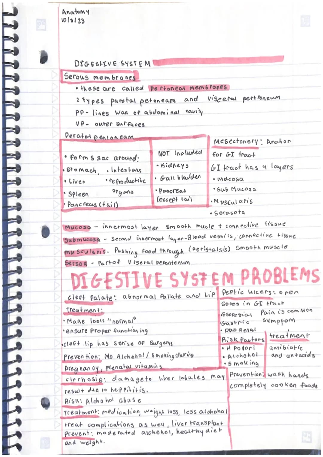 Anatomy
10/3123
DIGESTIVE SYSTEM
Introduction to digestive system
Cellular utilization.
reactions.
- To Build (synthesis) enzymes
cell divis