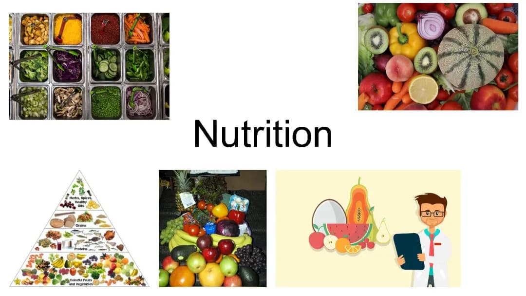 Nutrition 