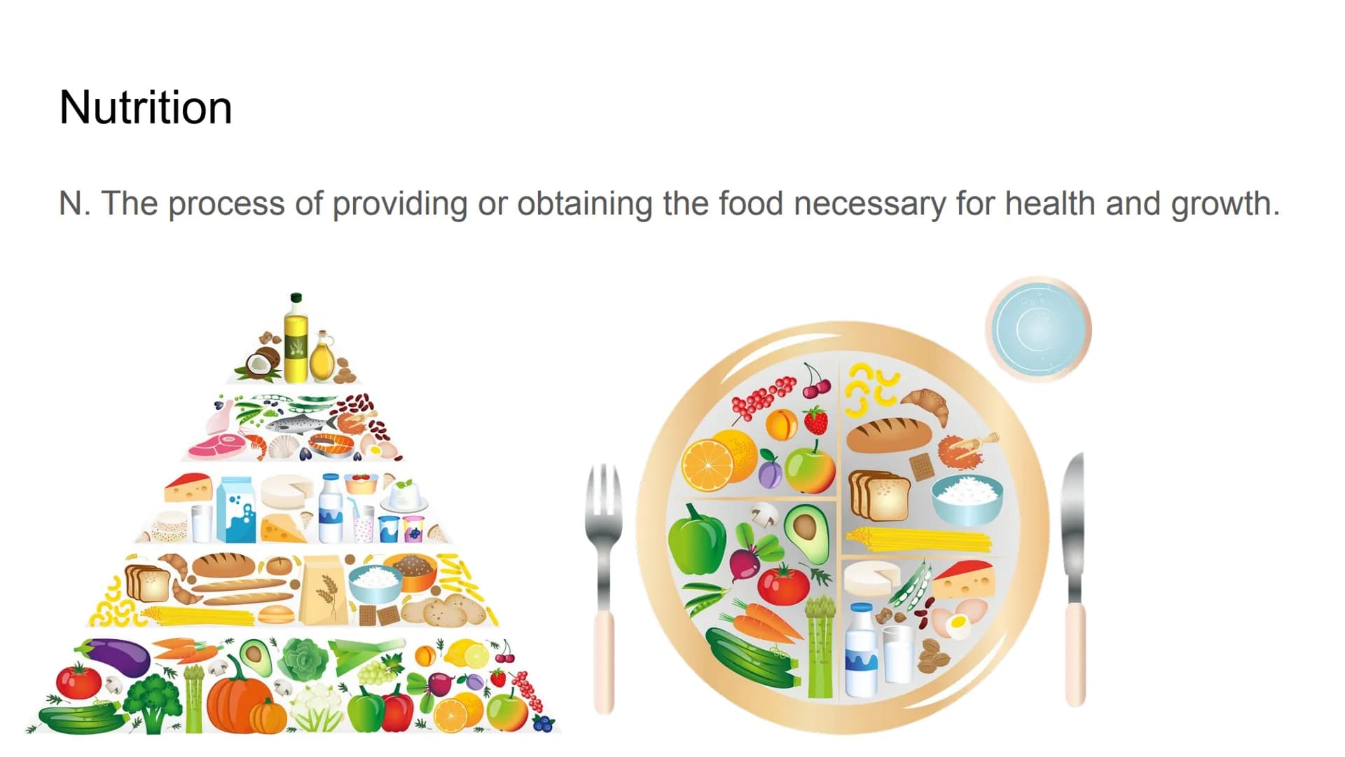 Herbs, Spices,
Healthy
Oils
Grains
Proteins
Colorful Fruits
and Vegetables
Nutrition Nutrition
N. The process of providing or obtaining the 
