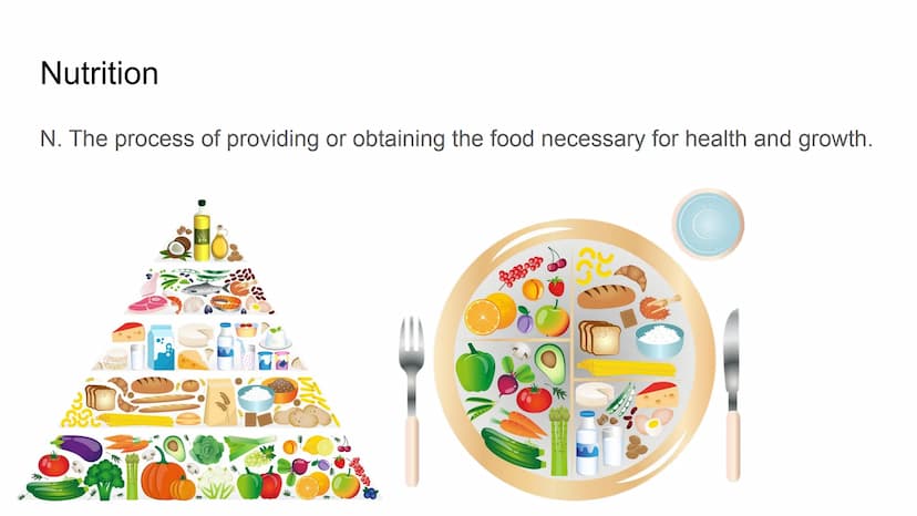 Herbs, Spices,
Healthy
Oils
Grains
Proteins
Colorful Fruits
and Vegetables
Nutrition Nutrition
N. The process of providing or obtaining the 