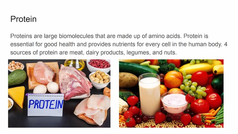 Herbs, Spices,
Healthy
Oils
Grains
Proteins
Colorful Fruits
and Vegetables
Nutrition Nutrition
N. The process of providing or obtaining the 