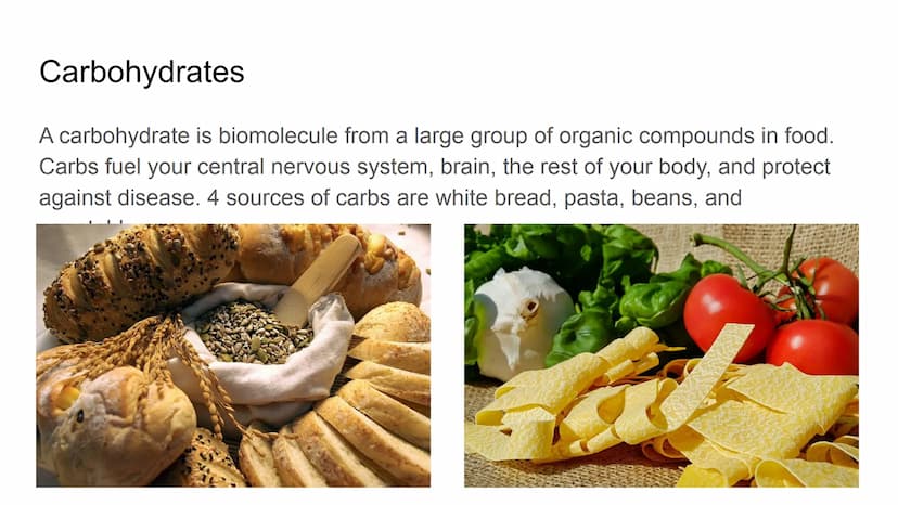 Herbs, Spices,
Healthy
Oils
Grains
Proteins
Colorful Fruits
and Vegetables
Nutrition Nutrition
N. The process of providing or obtaining the 