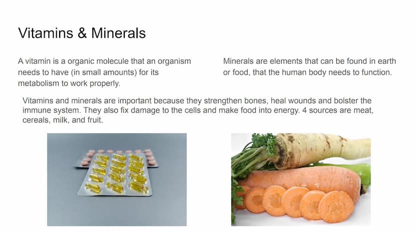 Herbs, Spices,
Healthy
Oils
Grains
Proteins
Colorful Fruits
and Vegetables
Nutrition Nutrition
N. The process of providing or obtaining the 