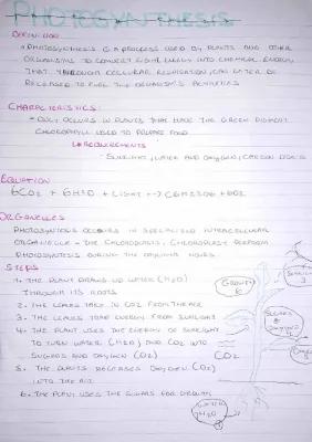 Know photosynthesis revision notes  thumbnail