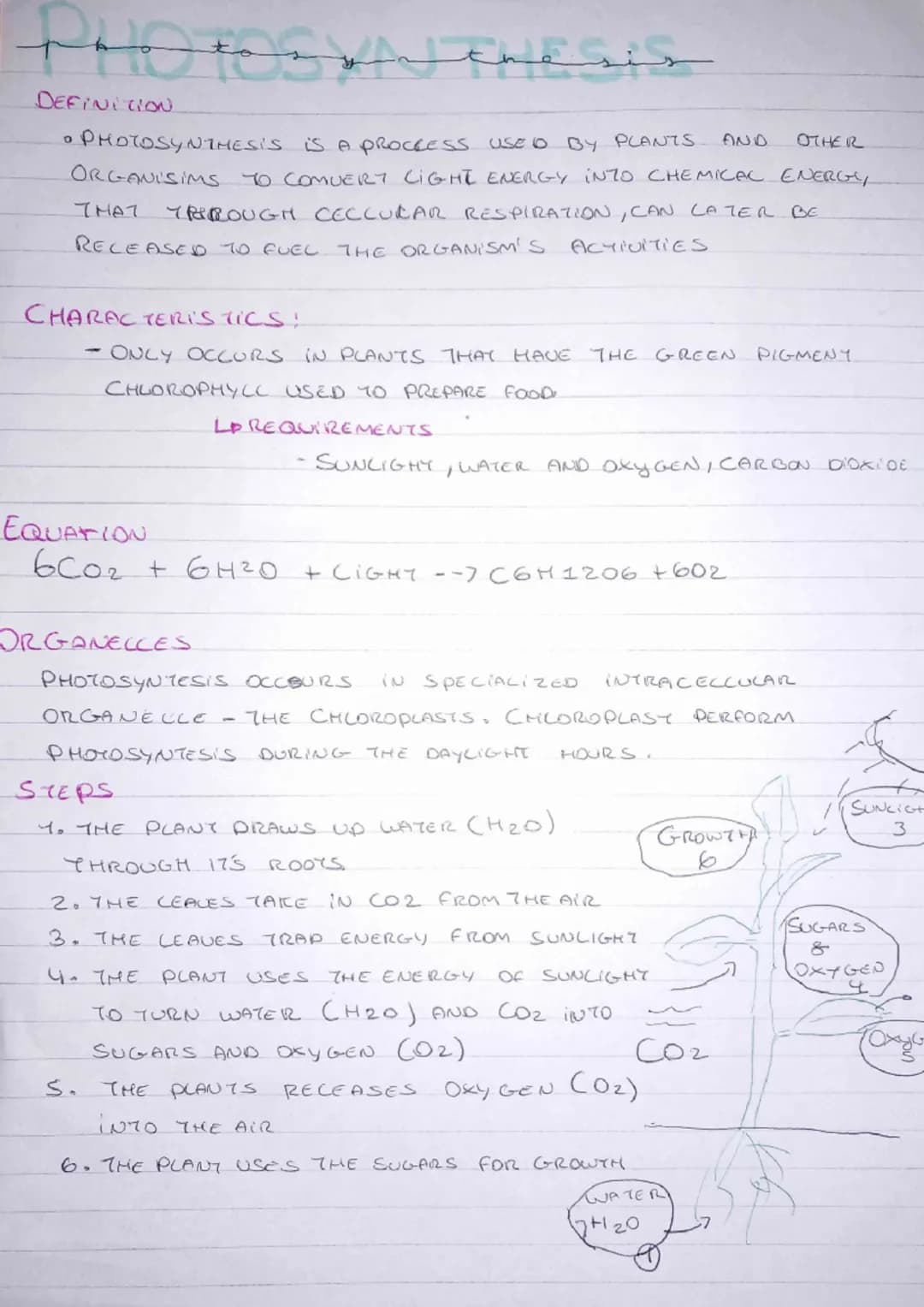 parenthesis
DEFINITION
OTHER
• PHOTOSYNTHESIS IS A PROCCESS USED BY PLANTS.
ORGANISIMS TO COMUERY LIGHT ENERGY INTO CHEMICAL ENERGY
THROUGH 