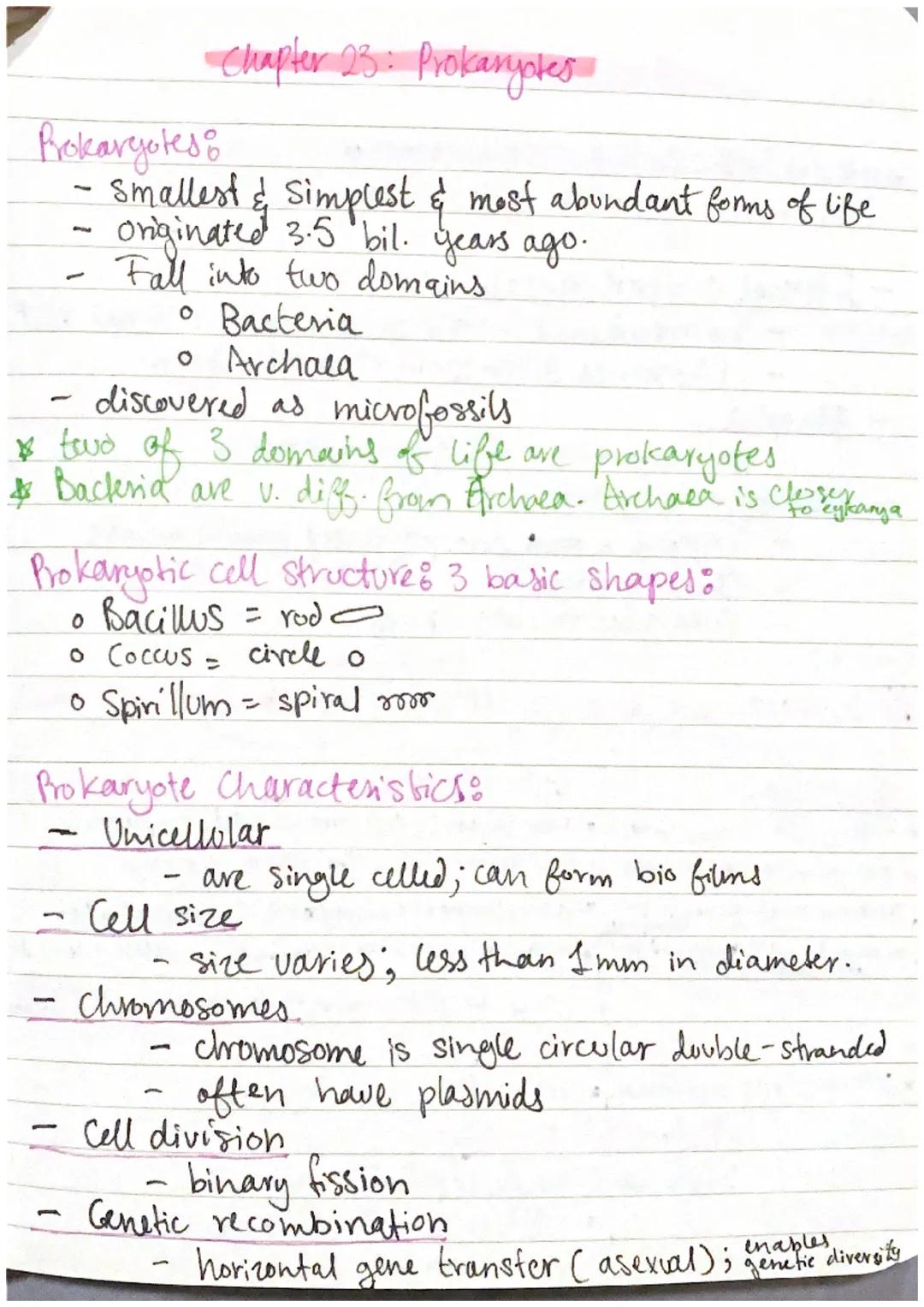 Chapter 23: Prokaryotes

Prokaryotes:
- Smallest & simplest & most abundant forms of life
- oniginated 3.5 bil. years ago.
- Fall into two d