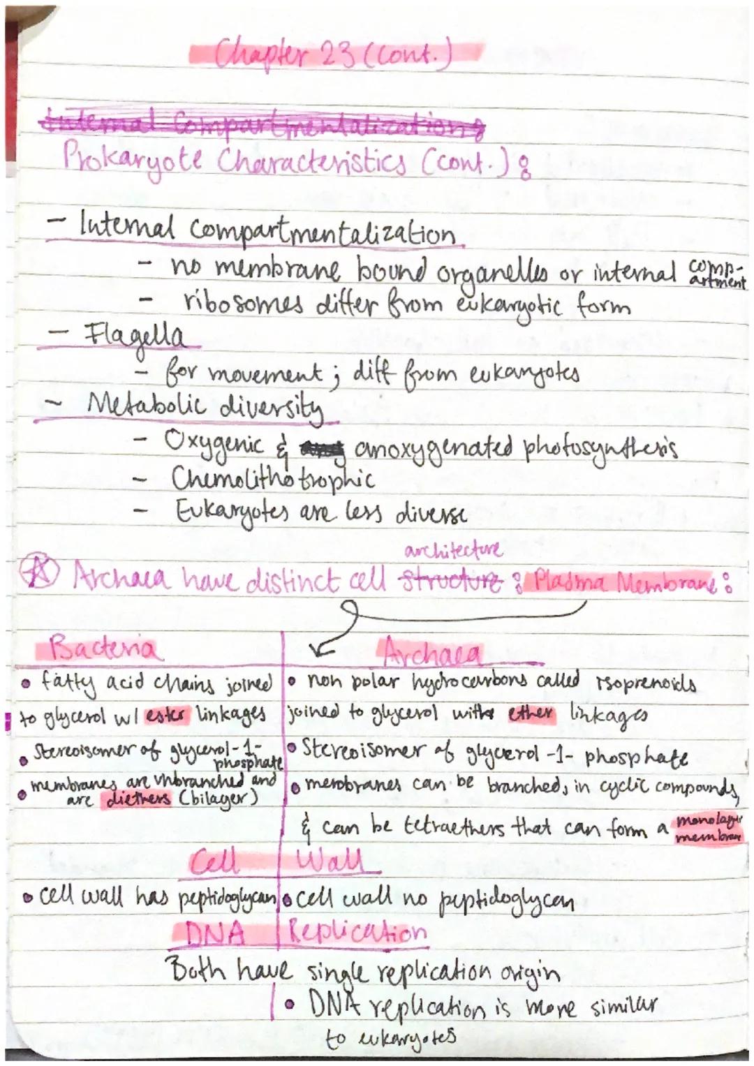Chapter 23: Prokaryotes

Prokaryotes:
- Smallest & simplest & most abundant forms of life
- oniginated 3.5 bil. years ago.
- Fall into two d