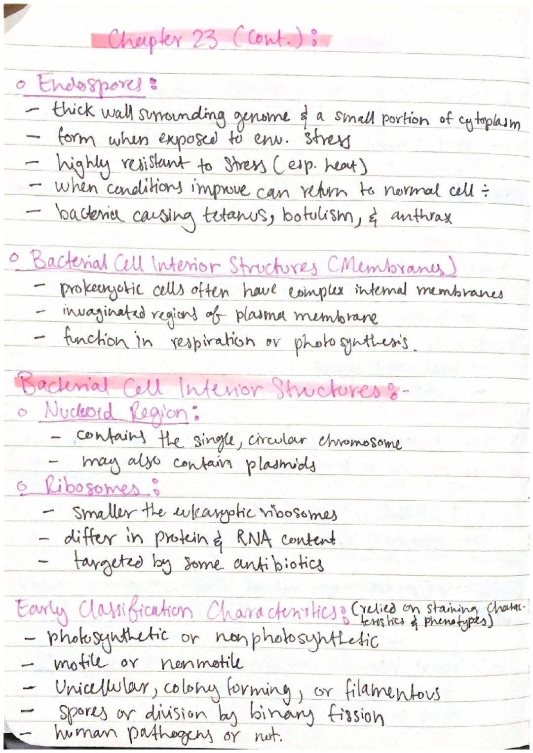 Chapter 23: Prokaryotes

Prokaryotes:
- Smallest & simplest & most abundant forms of life
- oniginated 3.5 bil. years ago.
- Fall into two d