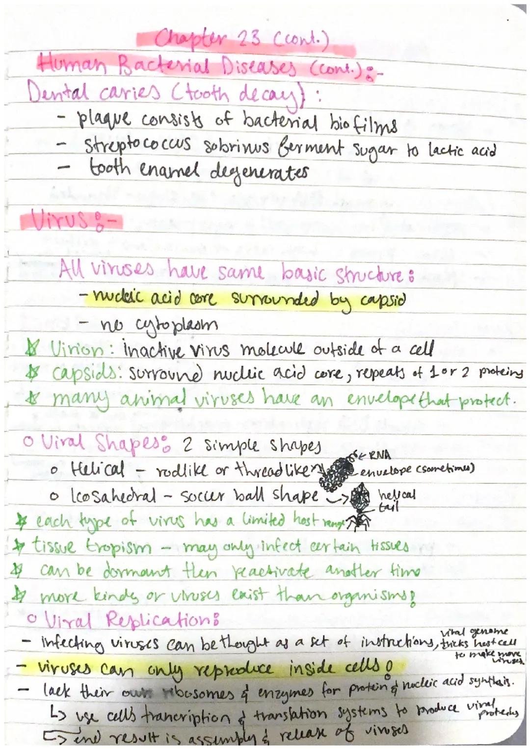 Chapter 23: Prokaryotes

Prokaryotes:
- Smallest & simplest & most abundant forms of life
- oniginated 3.5 bil. years ago.
- Fall into two d