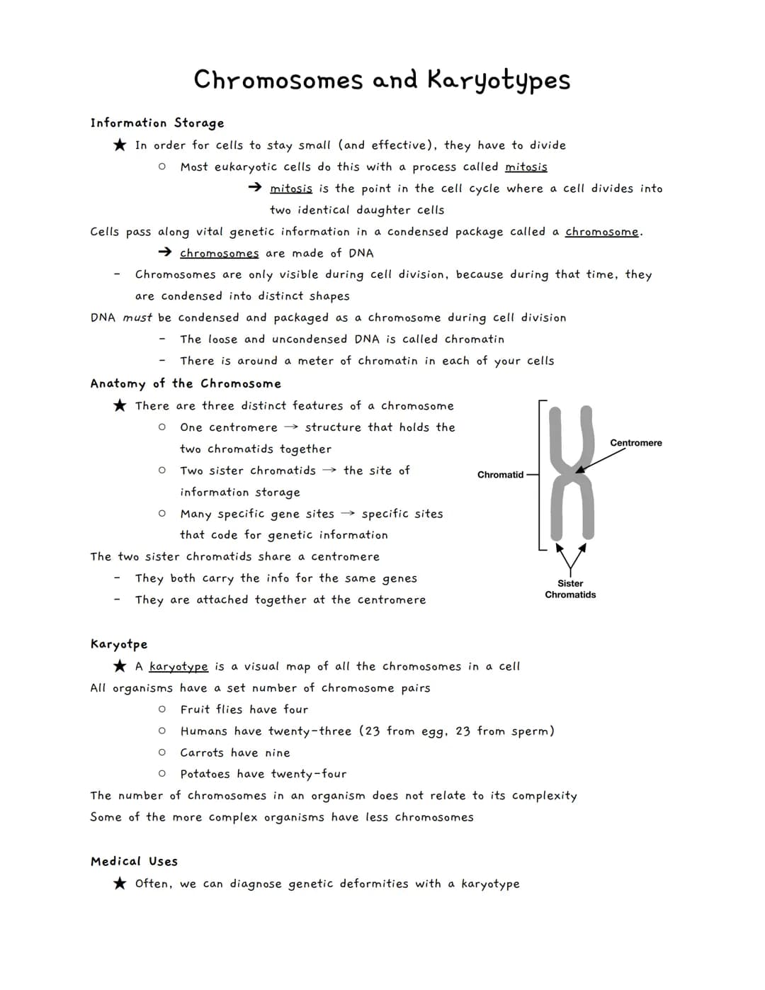 Chromosomes and Karyotypes
In order for cells to stay small (and effective), they have to divide
O Most eukaryotic cells do this with a proc