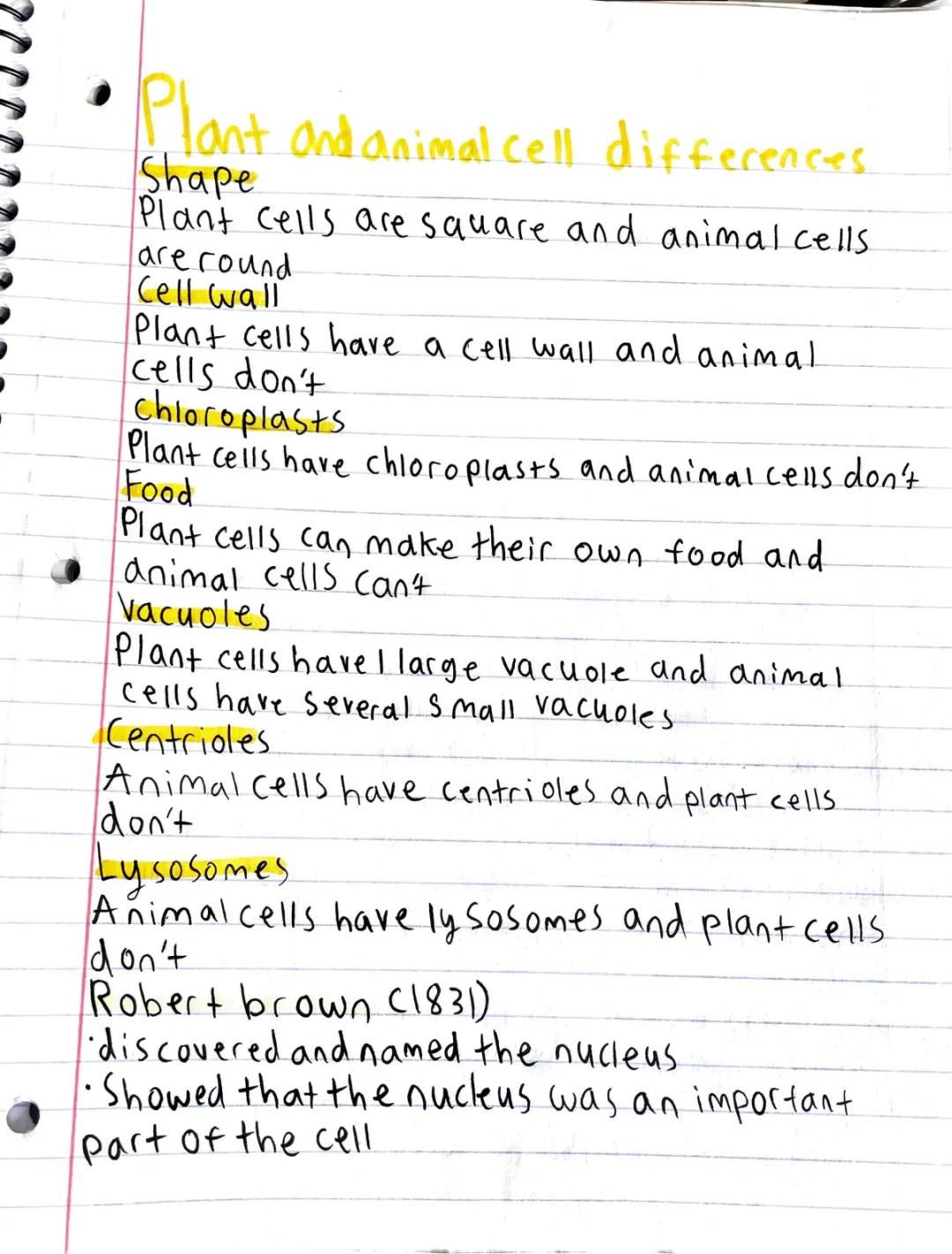 Plant and animal cell differences