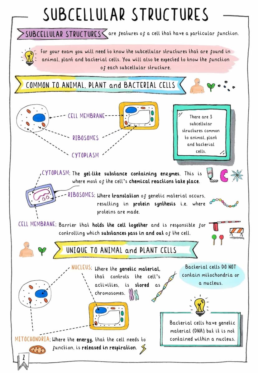 闪
CONTENTS & TRACKER
Each time you revise a section, put your mark on a circle! D
Cells
OOO
Subcellular Structures
OOO
Typical vs. Specialis