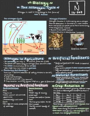 Know The Nitrogen Cycle - GCSE thumbnail