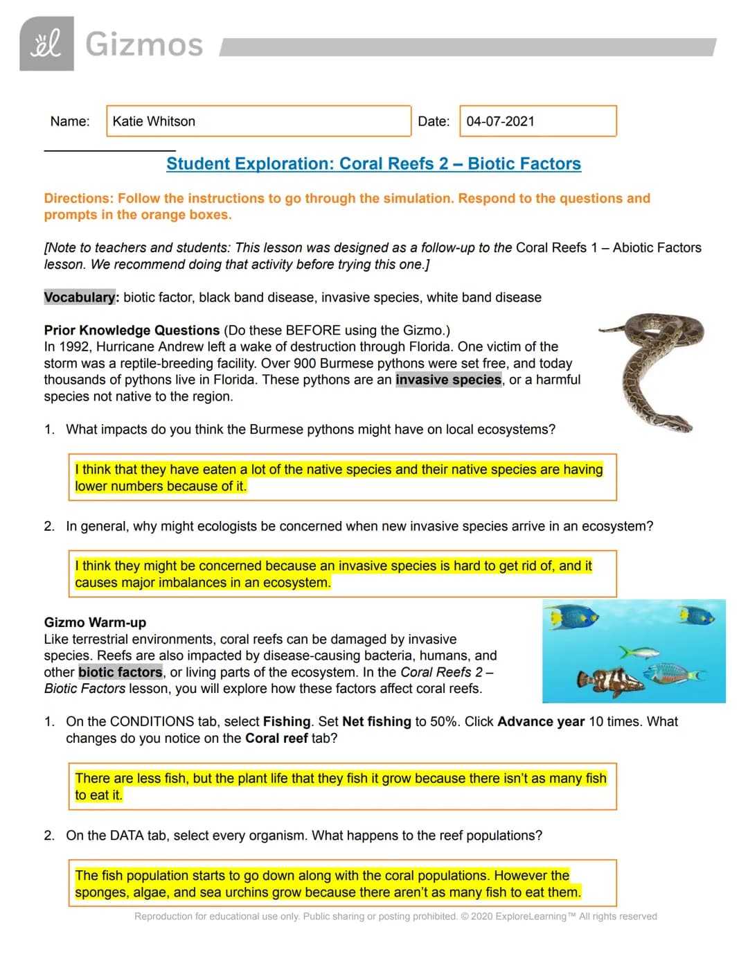 äl Gizmos
Name: Katie Whitson
Date: 04-07-2021
Student Exploration: Coral Reefs 2 - Biotic Factors
Directions: Follow the instructions to go