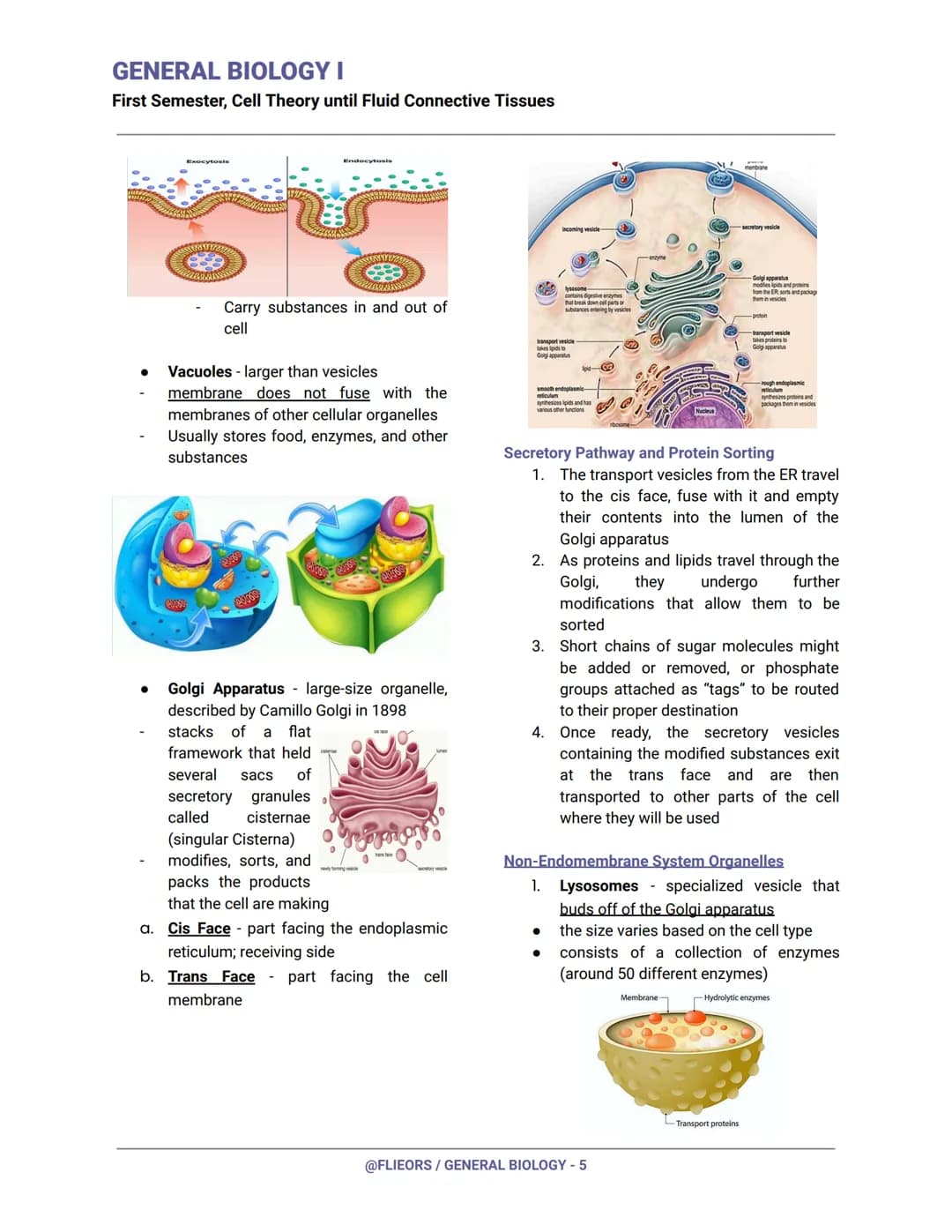 GENERAL BIOLOGY I
First Semester, Cell Theory until Fluid Connective Tissues
First Century (Year 100)
Romans had already invented and experi