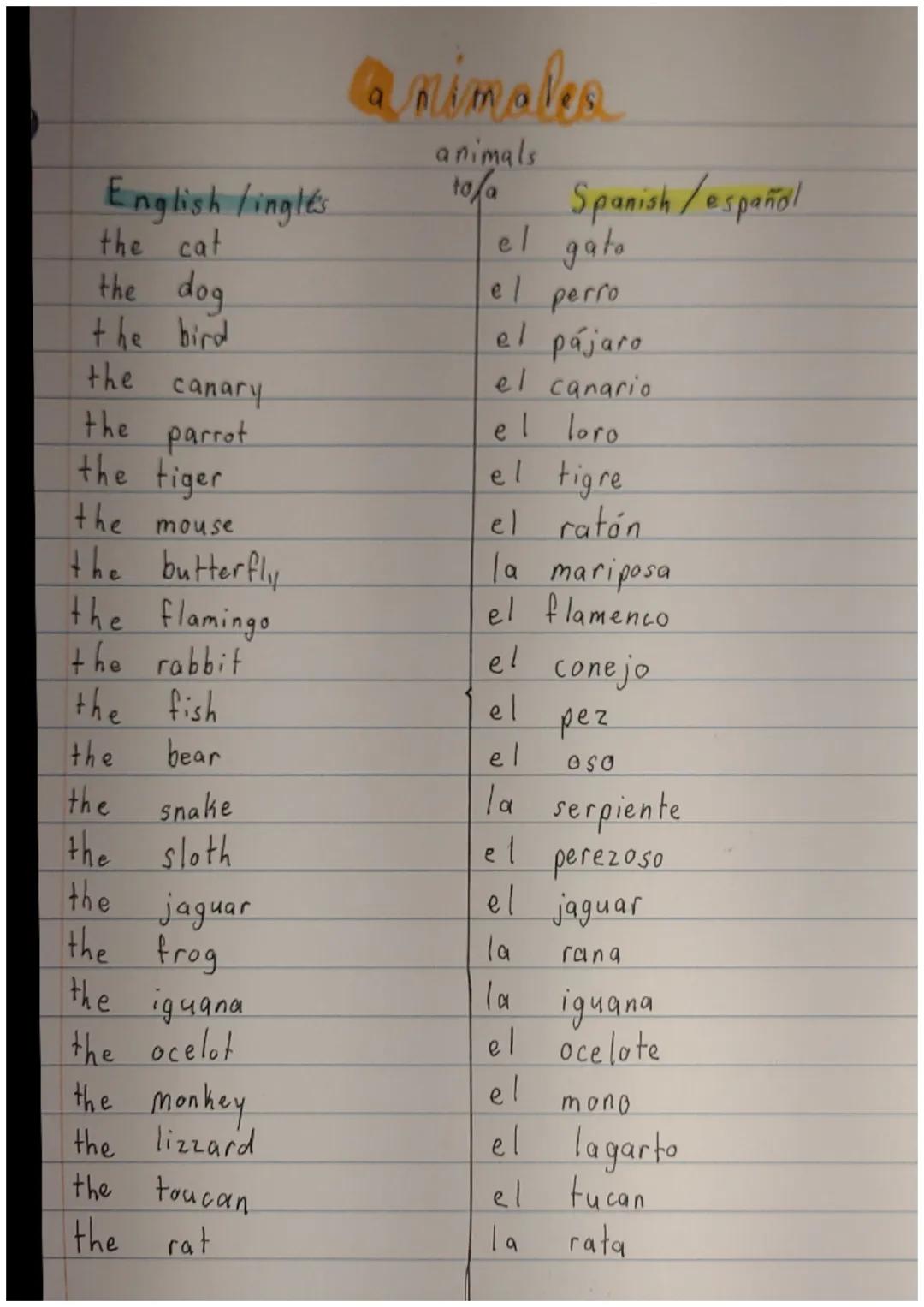 Animals English to Spanish / Animales inglés a español