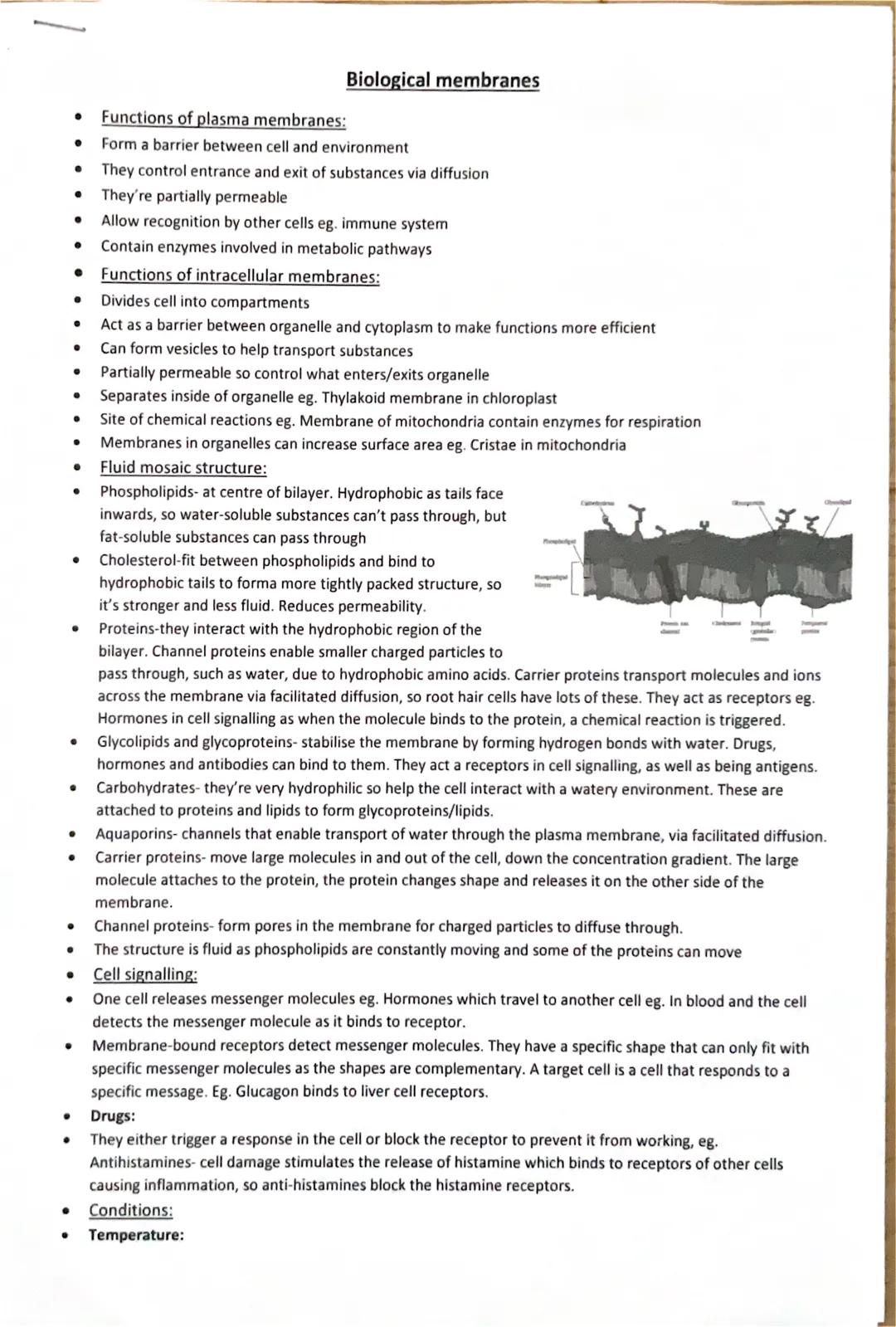 Biological membranes