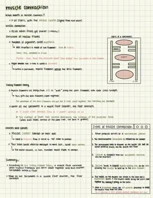 Know Muscle Contraction thumbnail