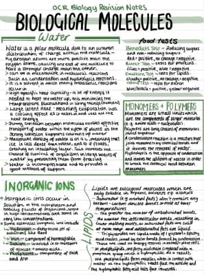 Know Biological Molecules Revision Sheets thumbnail
