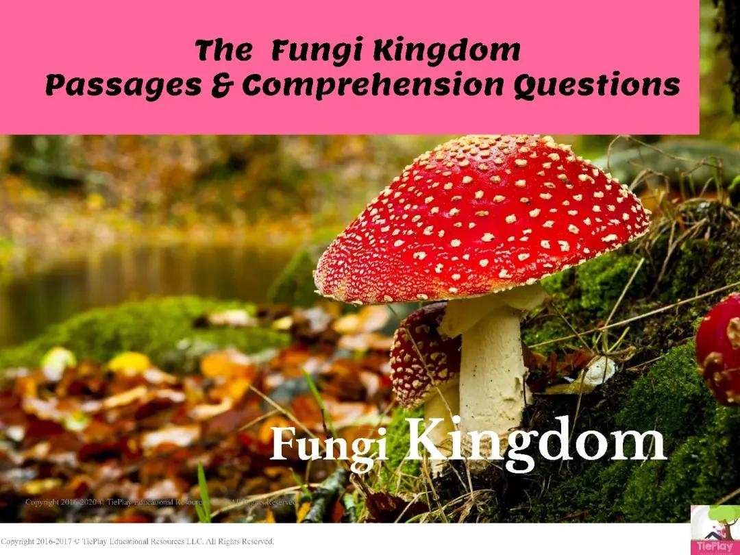 Fungi Kingdom Notes 