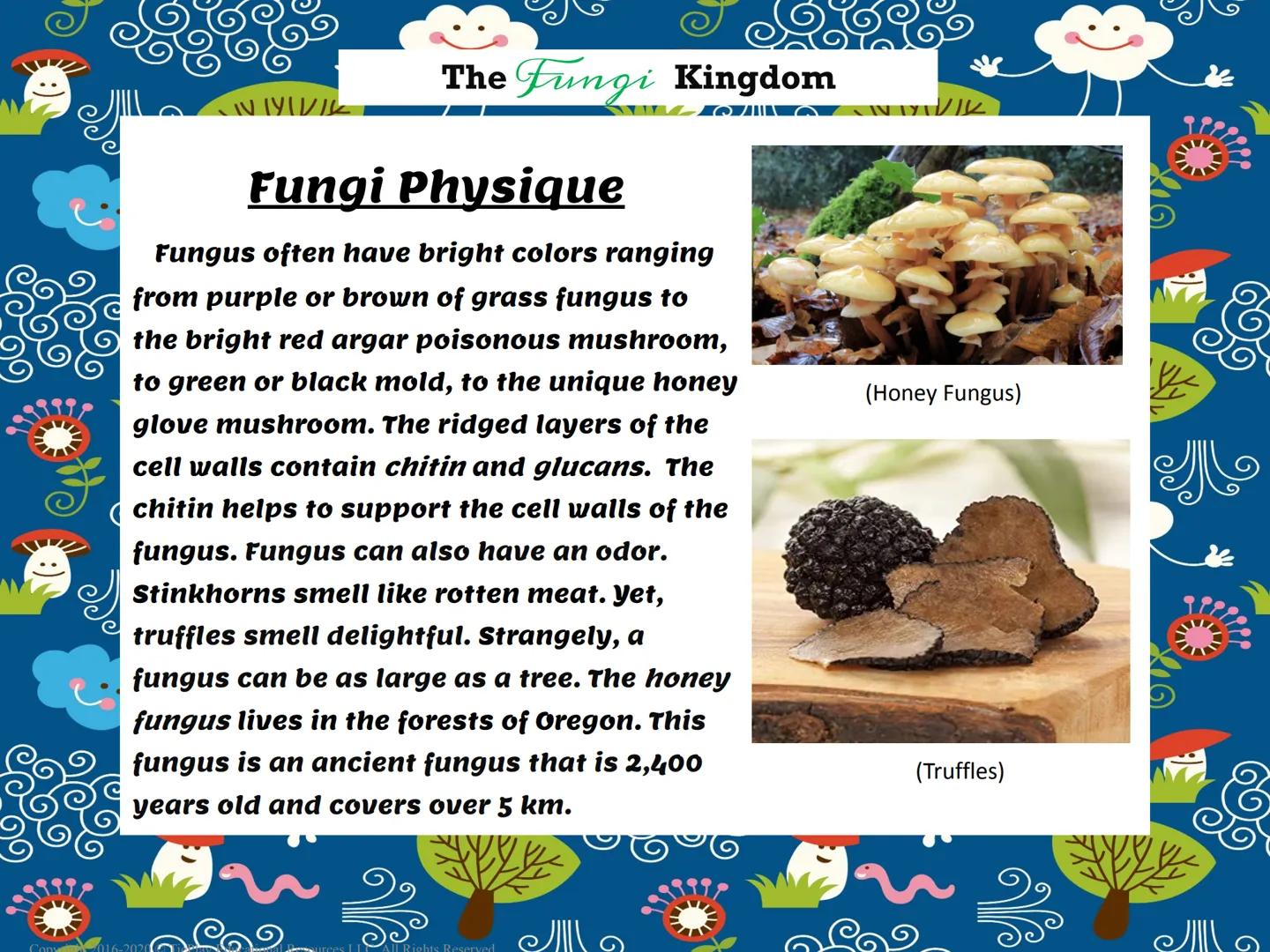 The Fungi Kingdom
Passages & Comprehension Questions
Copyright 2016-2020 TiePlay Educational Resourc
Fungi Kingdom
Allgents Reserved
Copyrig