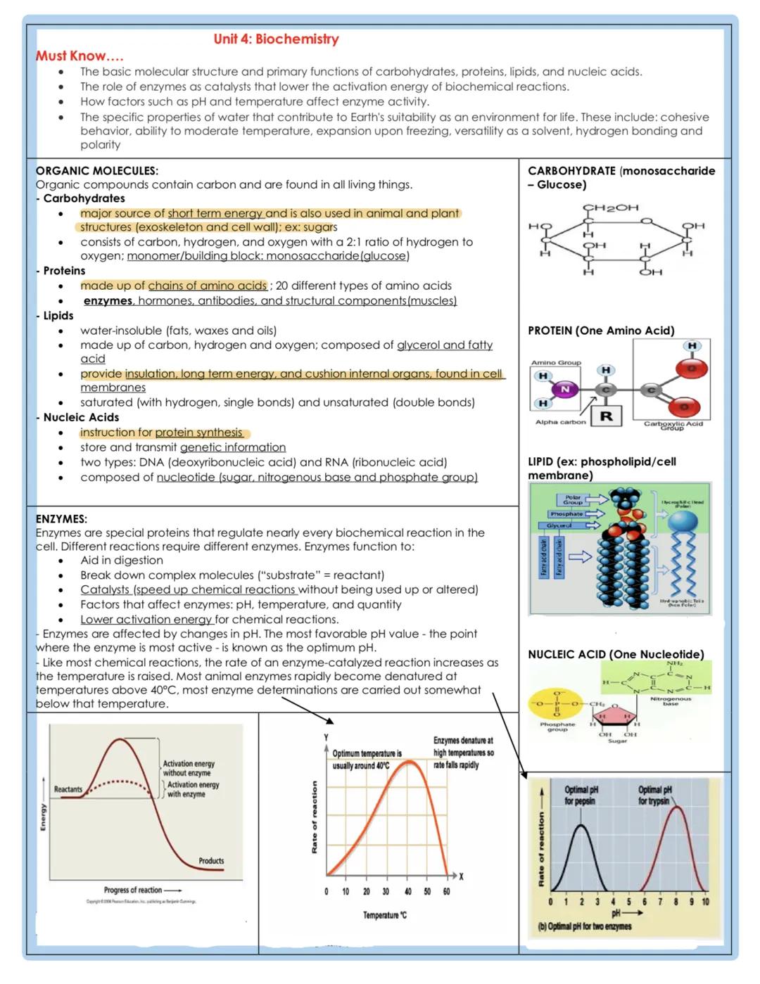Unit 4: Biochemistry
Must Know....
The basic molecular structure and primary functions of carbohydrates, proteins, lipids, and nucleic acids
