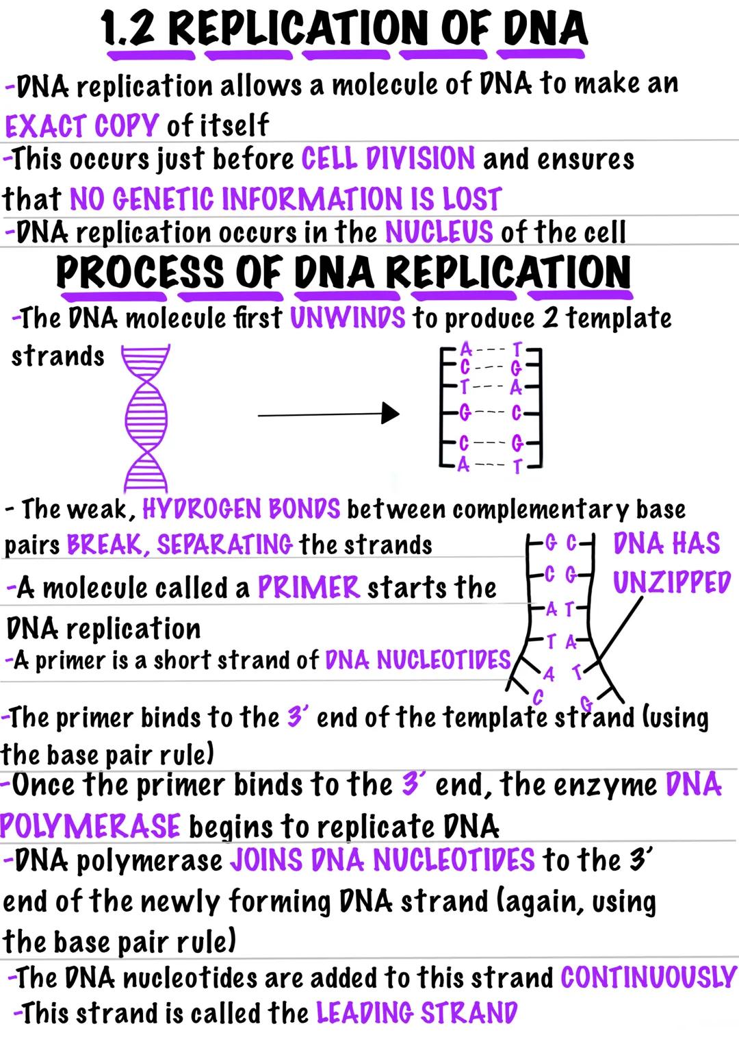 PCR
-PCR is used to AMPLIFY TARGET SEQUENCES of
DNA
-This is done over many cycles (20-30) to produce
millions of copies of the target seque