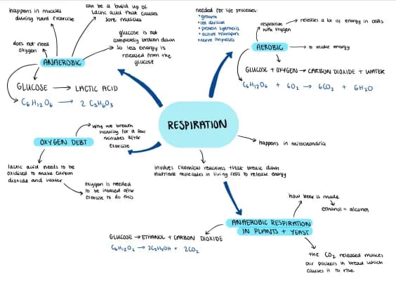 Know Respiration summary mindmap thumbnail