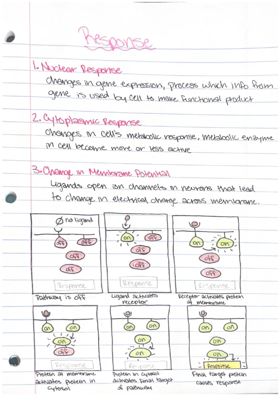 Cool Ways Cells Talk: Cell Communication and Signal Steps PDF